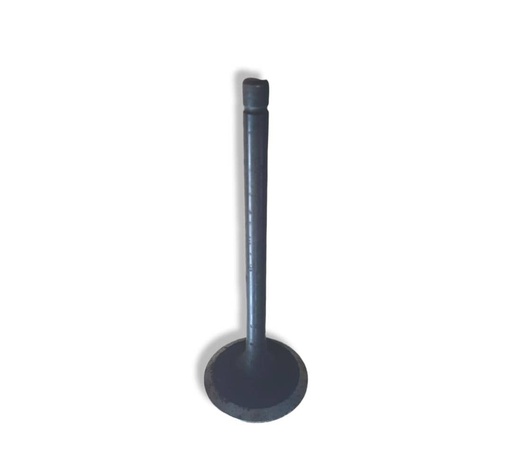 [4895052] VALVULA DE ADMISION IVECO TECTOR MOTOR F4AE06