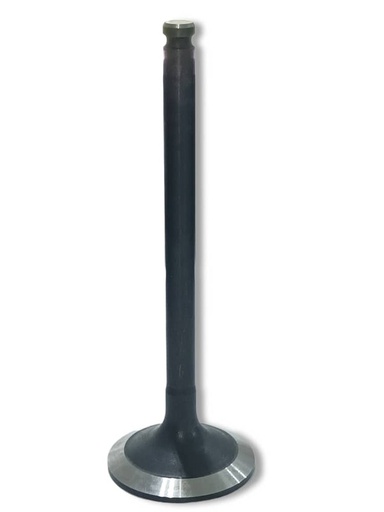 [504069200-FD] VALVULA ADMISION MOTOR IVECO DAILY / 50.12