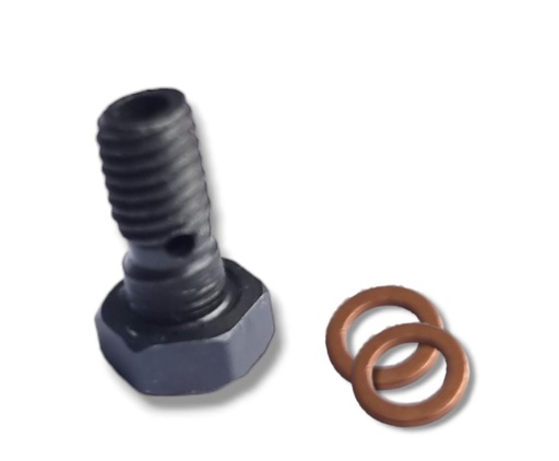 [202-0250] TORNILLO HUECO RACOR RETORNO GASOIL CON ARANDELAS